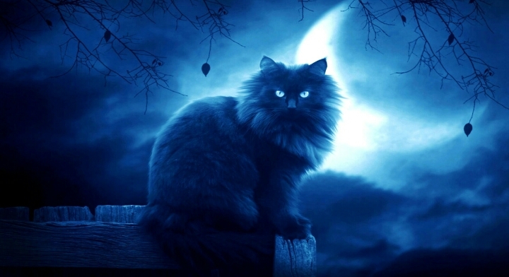 night
