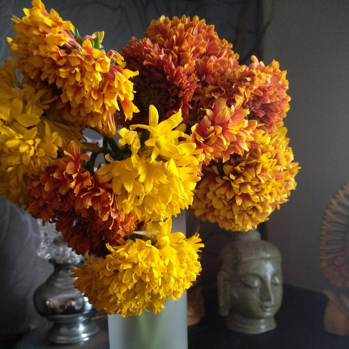Everday flowers