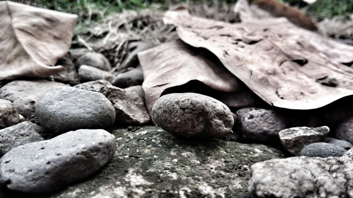 rocks!