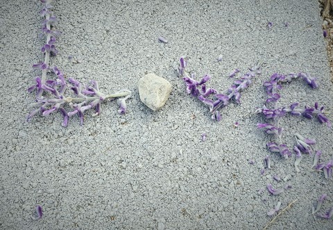 love