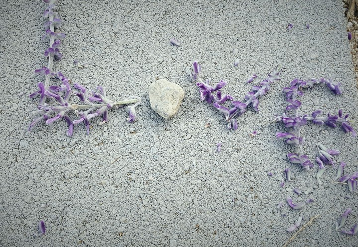 love