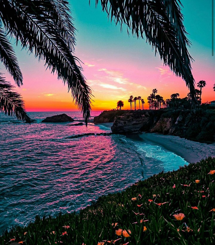 Laguna beach,California