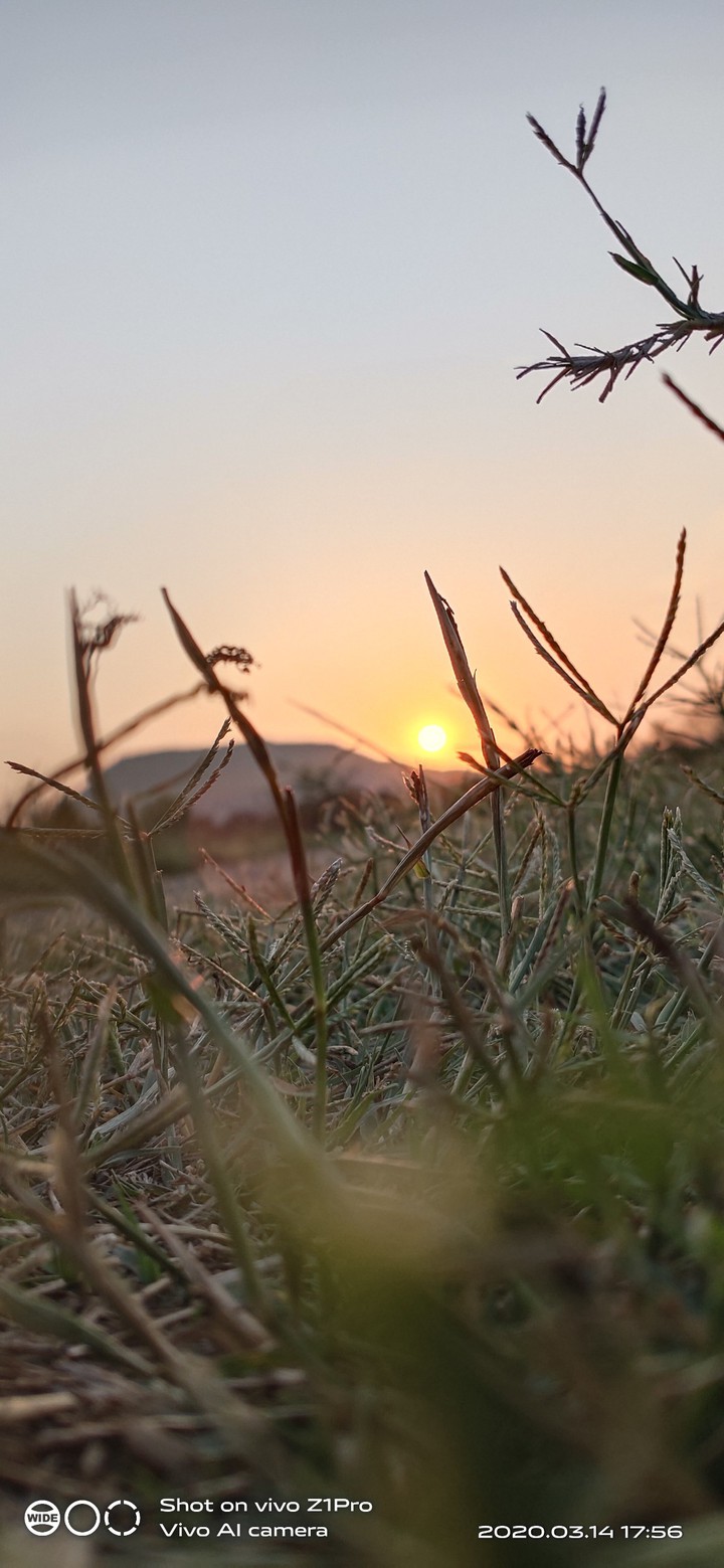 sun drown is evening