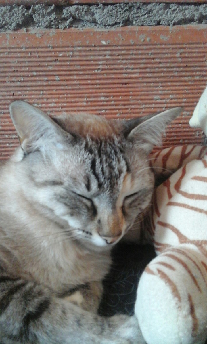 minha princesinha