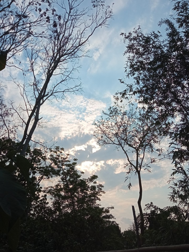 Solazo