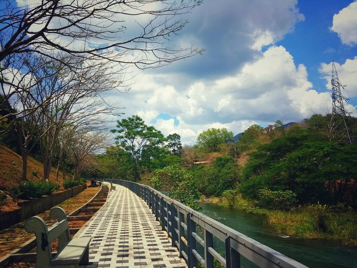 Scenary