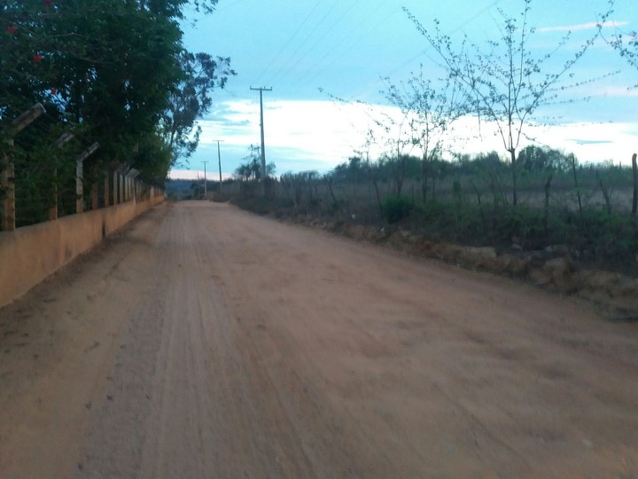 Estrada