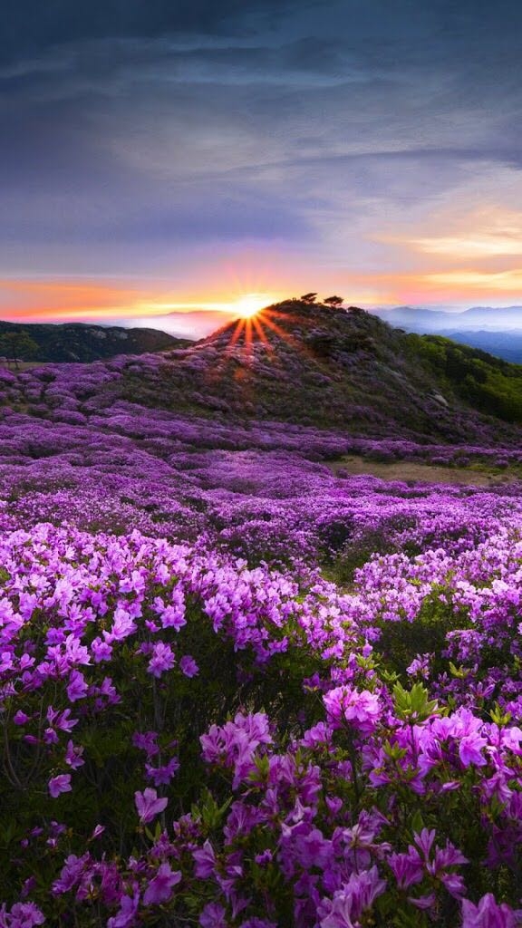Sunrise