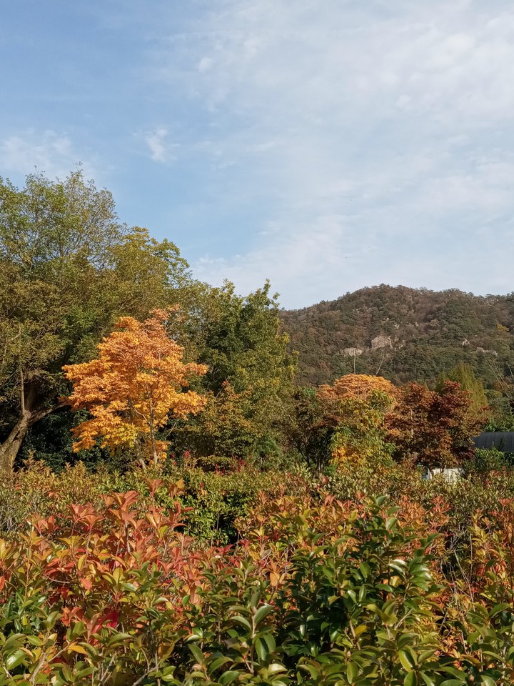 색으로 물들여진 풀숲과 산의 하늘