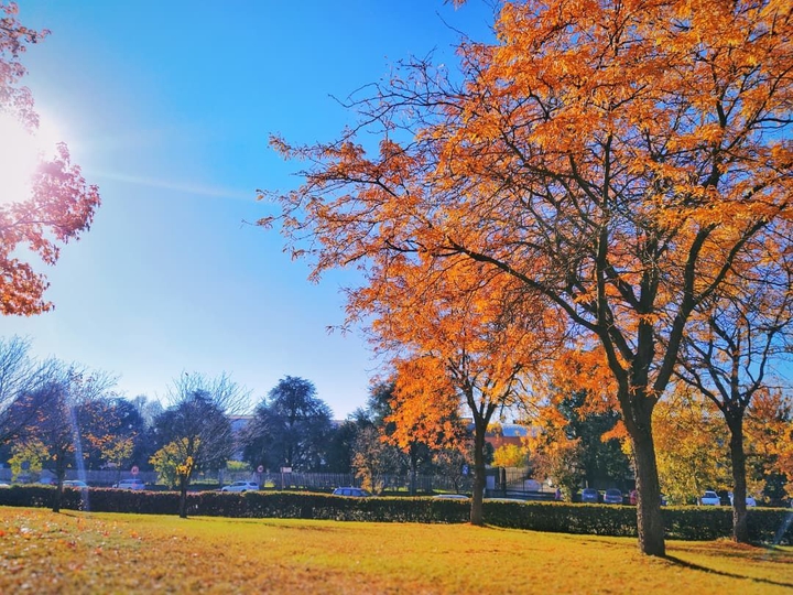 autumn