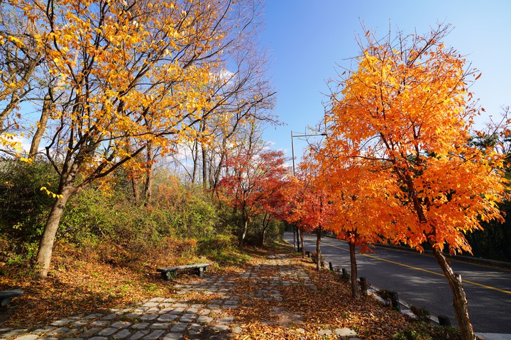 south korea autumn