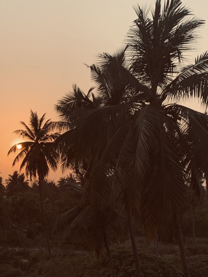 Sun set
