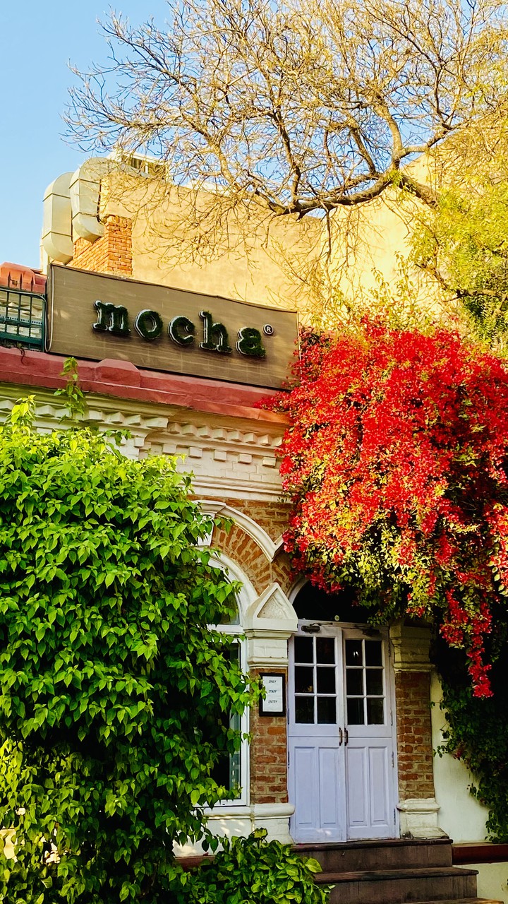 Mocha cafe