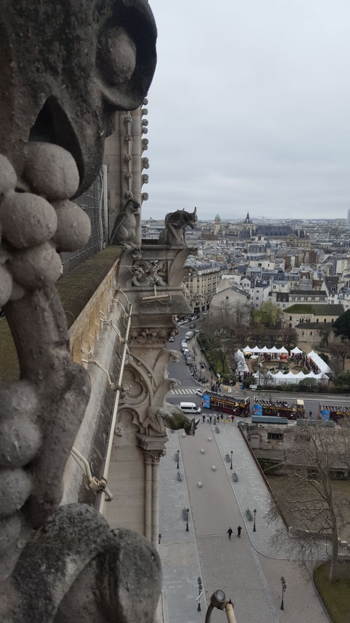 gargoyle
