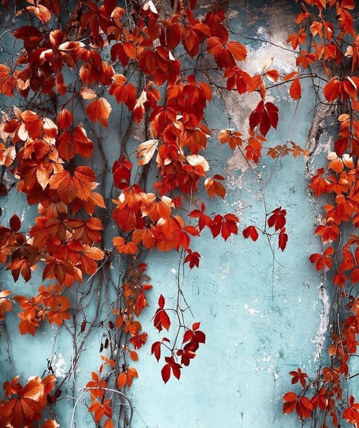 Autumn