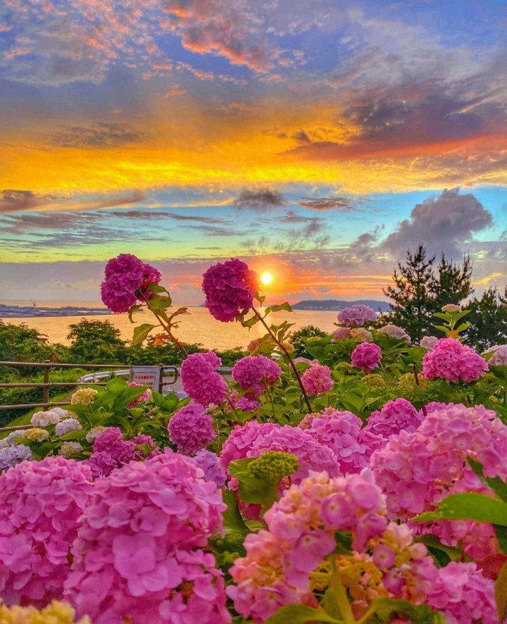 beauty...