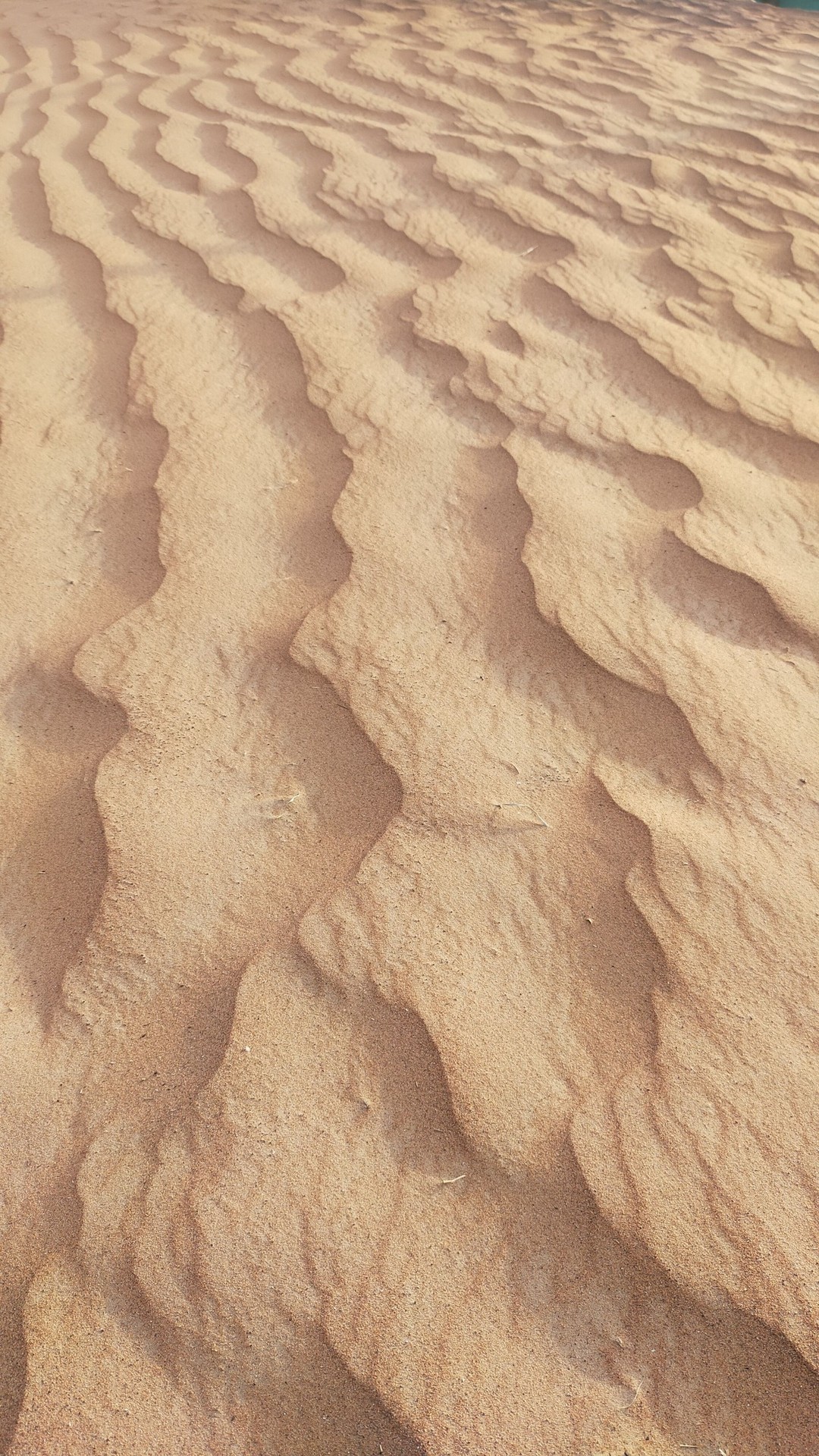 sfondi erg, Dune