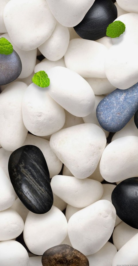 piedras