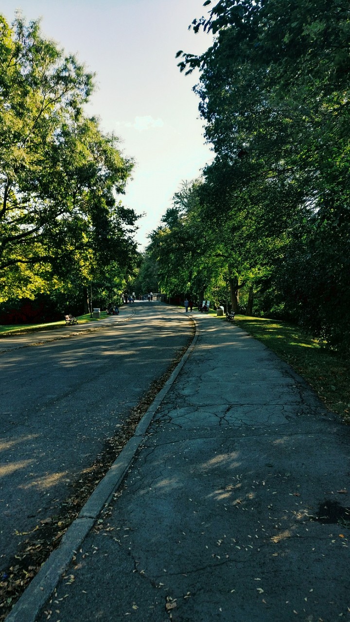 Road to Niagara falls