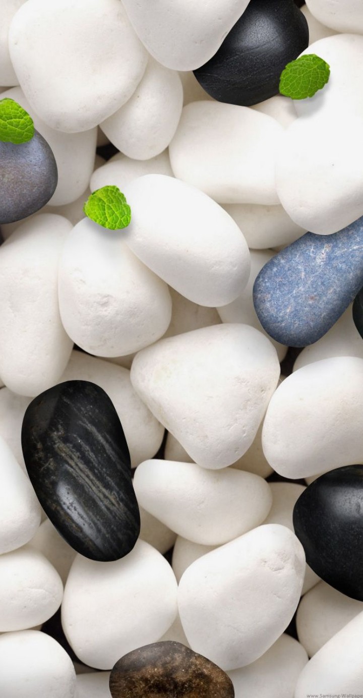 piedras