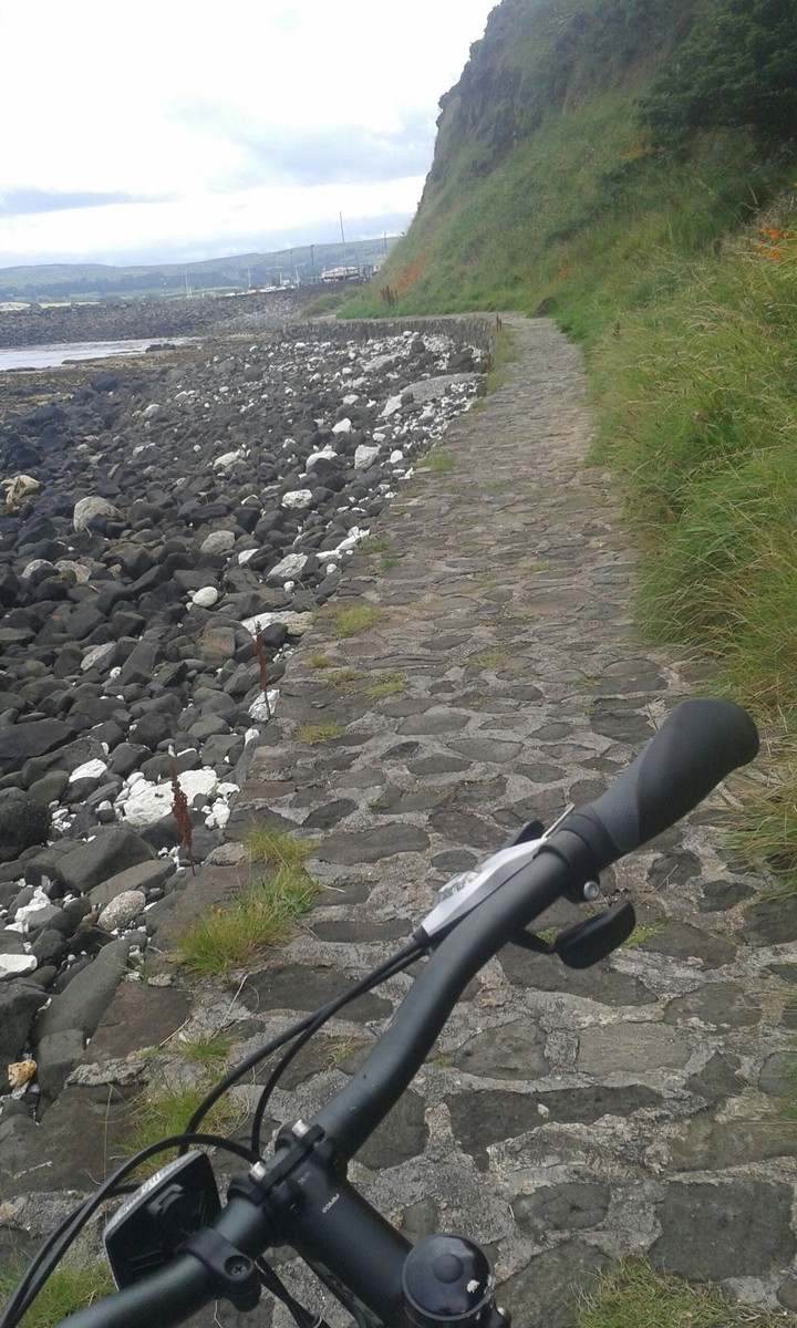 bike harbour ride