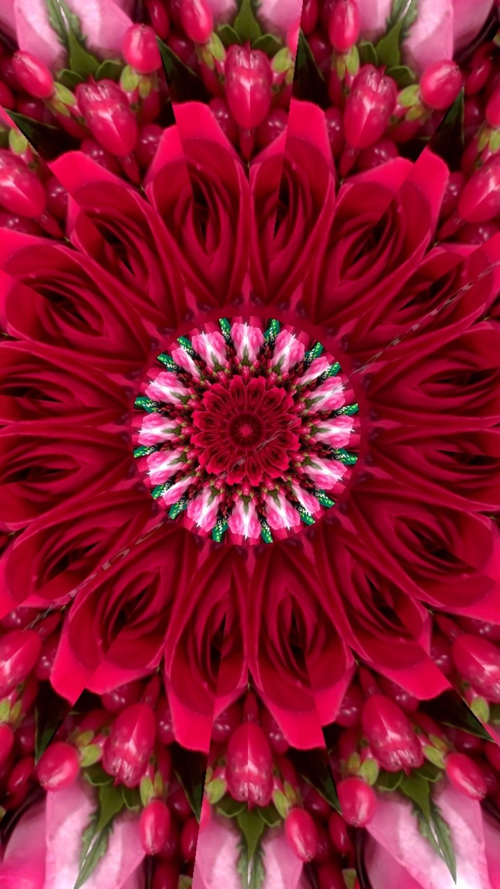 kaleidoscope made from roses