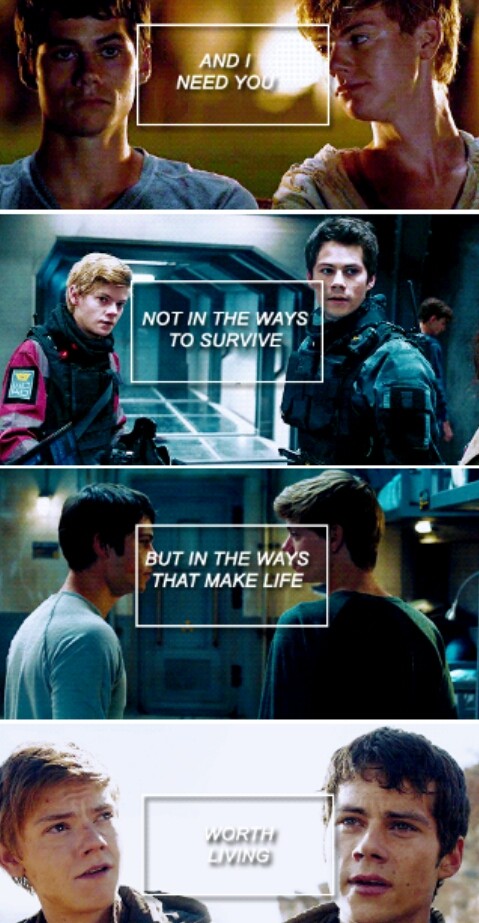 maze runner