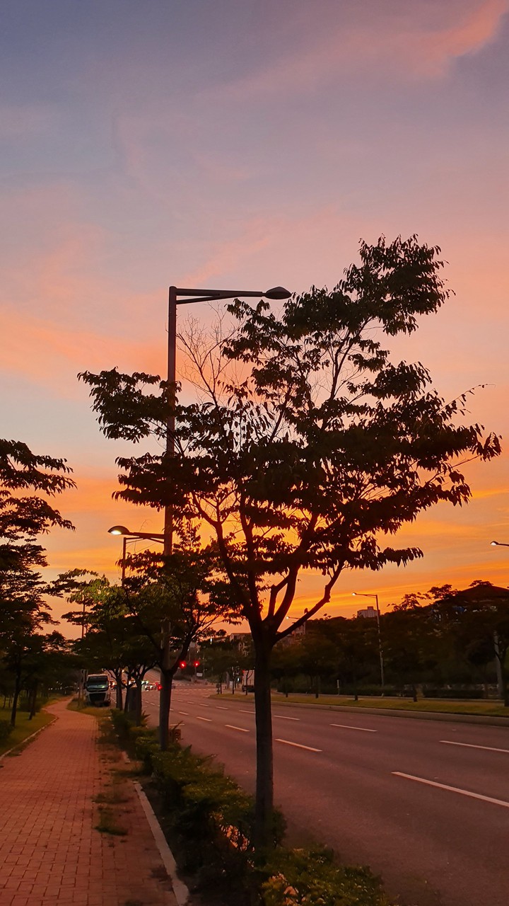sunset