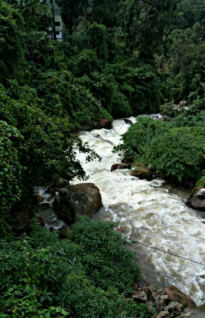 Munnar