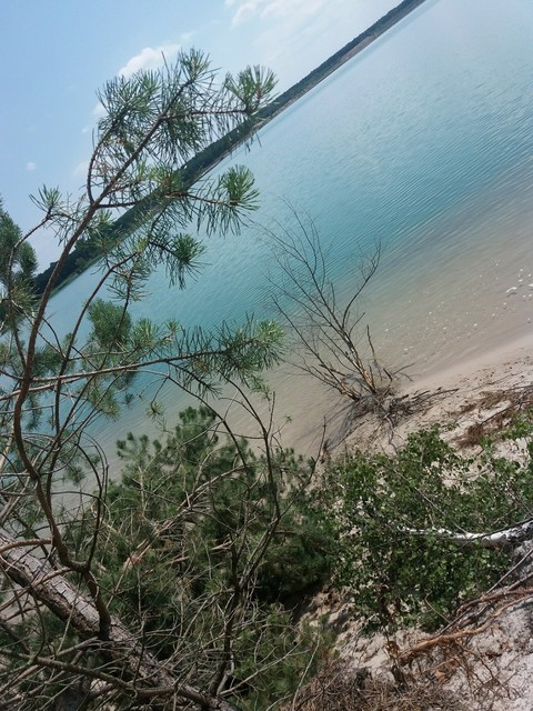 hình nền vegetation, Water