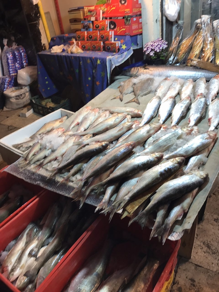fish