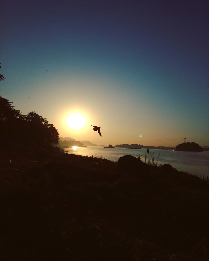 Nature Speaks