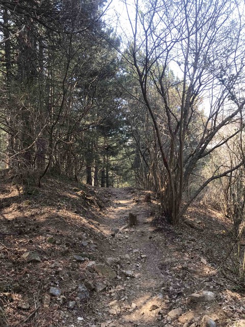 Walking around nature
