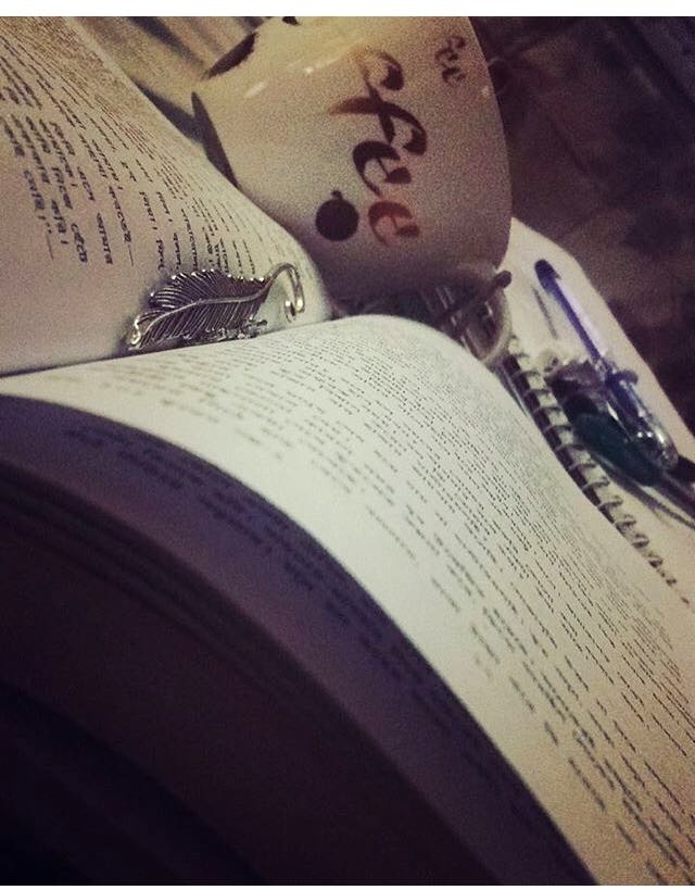 companion..