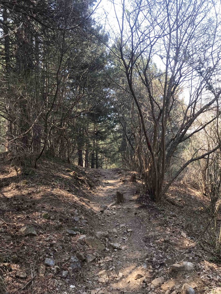 Walking around nature
