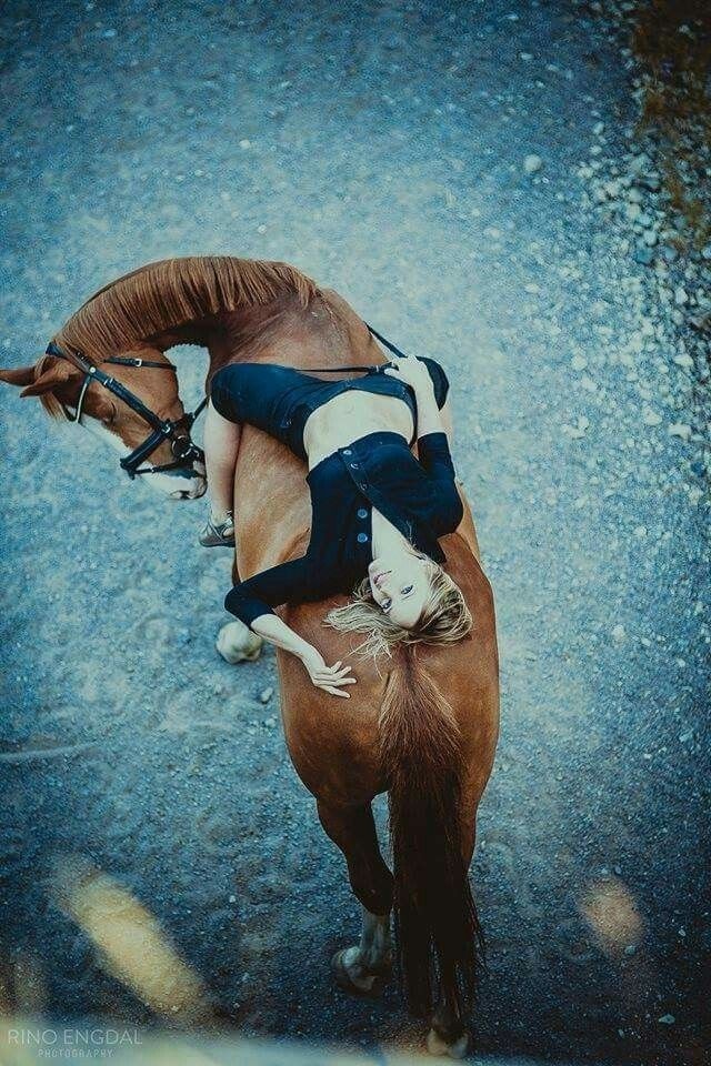 cavalo
