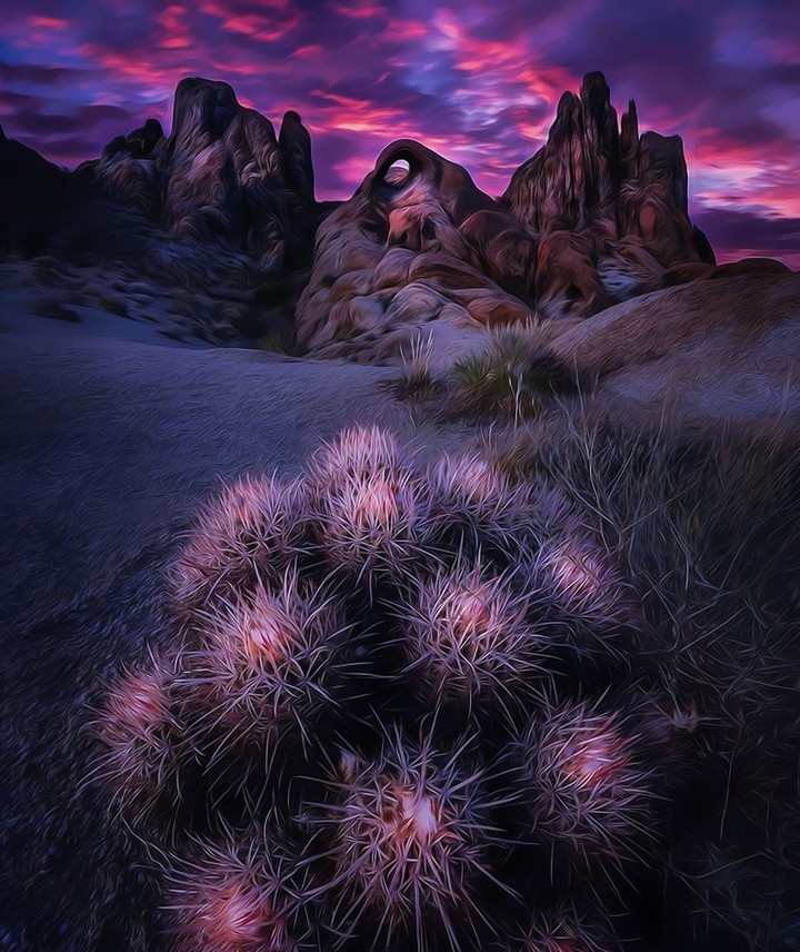Nature's Beauty