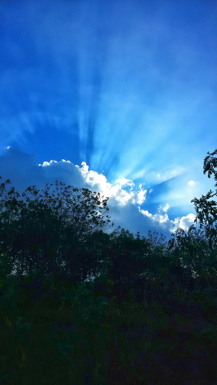 sun