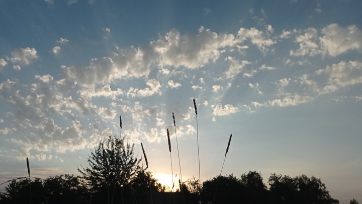 Ukrainian sky