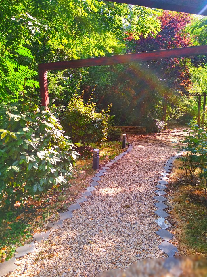 Amazing garden