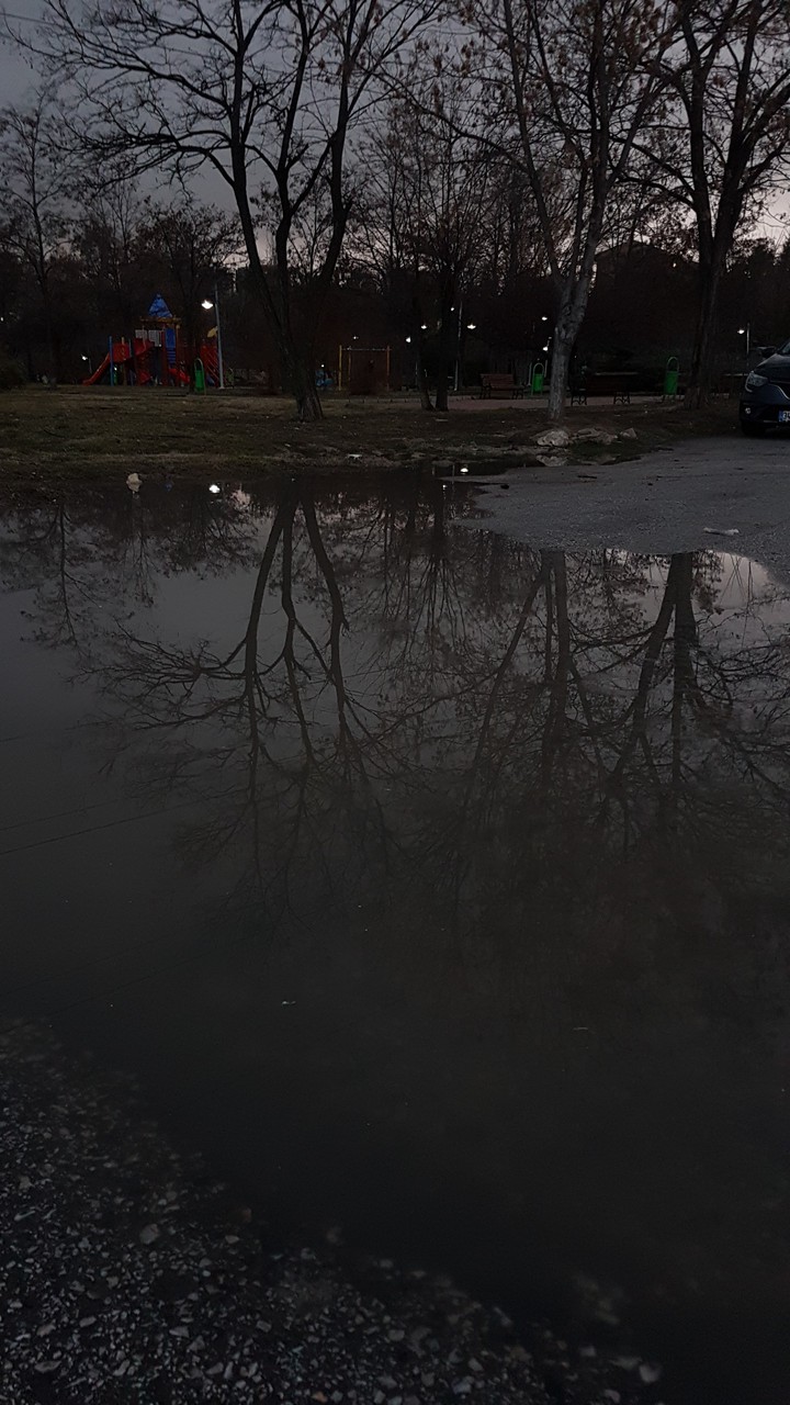 rain