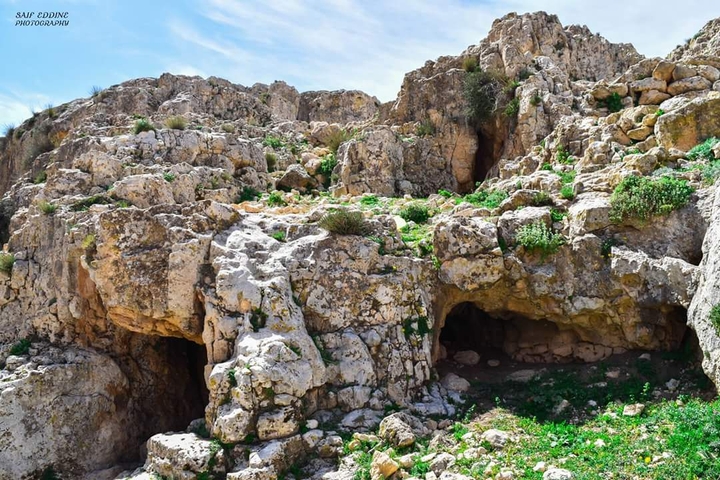 ruine de préhistoire à tebessa