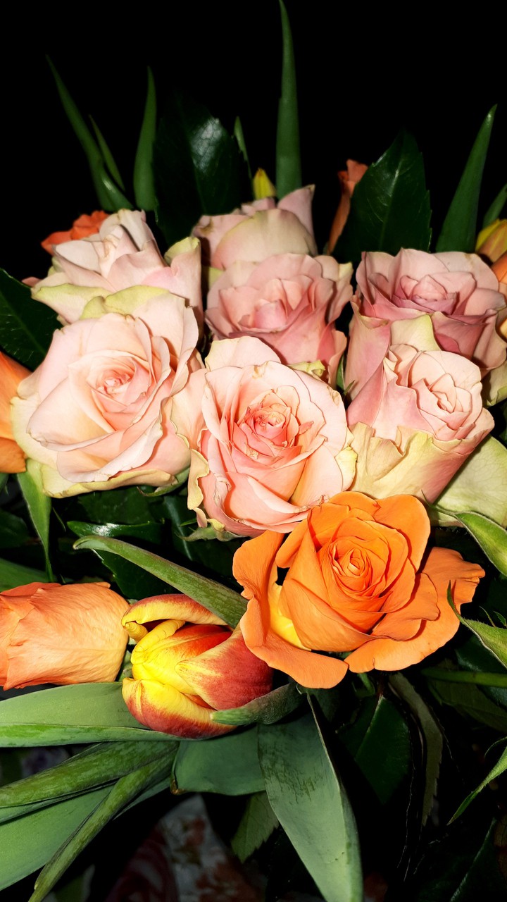 women day