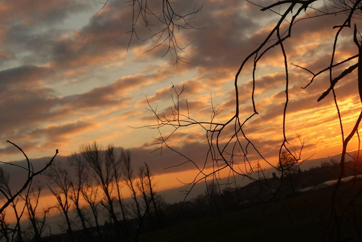 #sun_light #a_lot_of_trees