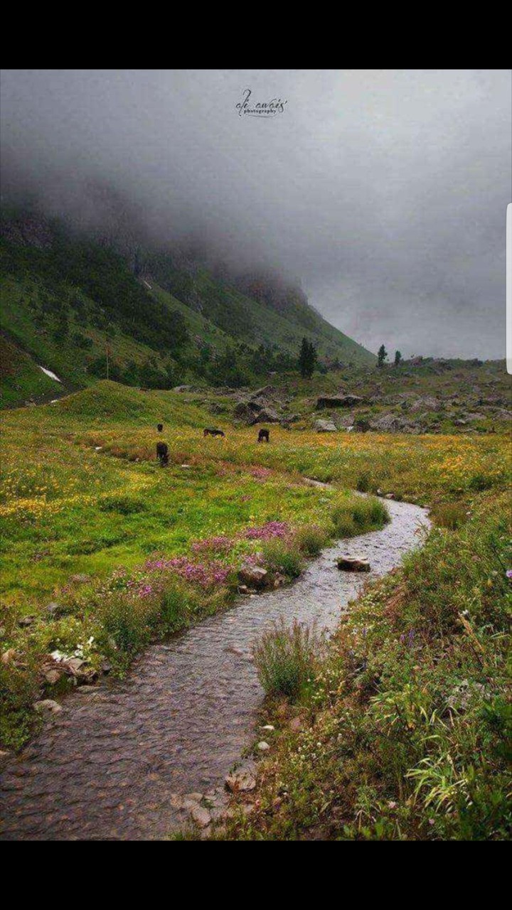 Domail - Astore Valley, Gilgit Baltistan, Pakistan.
