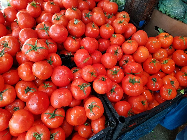 tomato