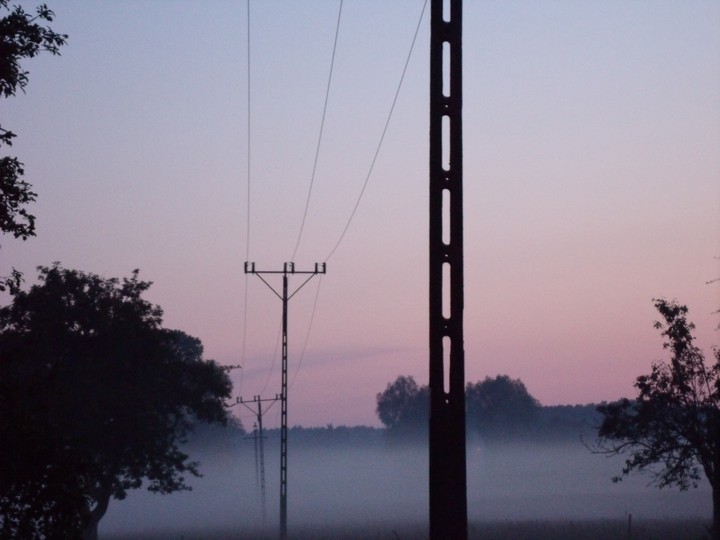 Fog