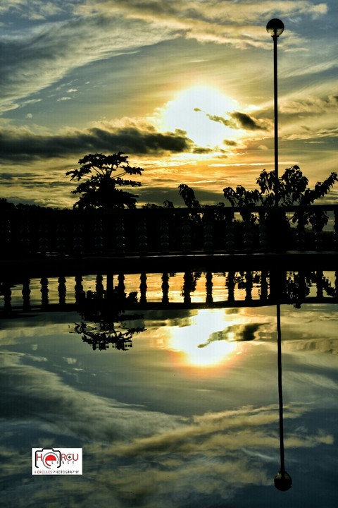 reflection