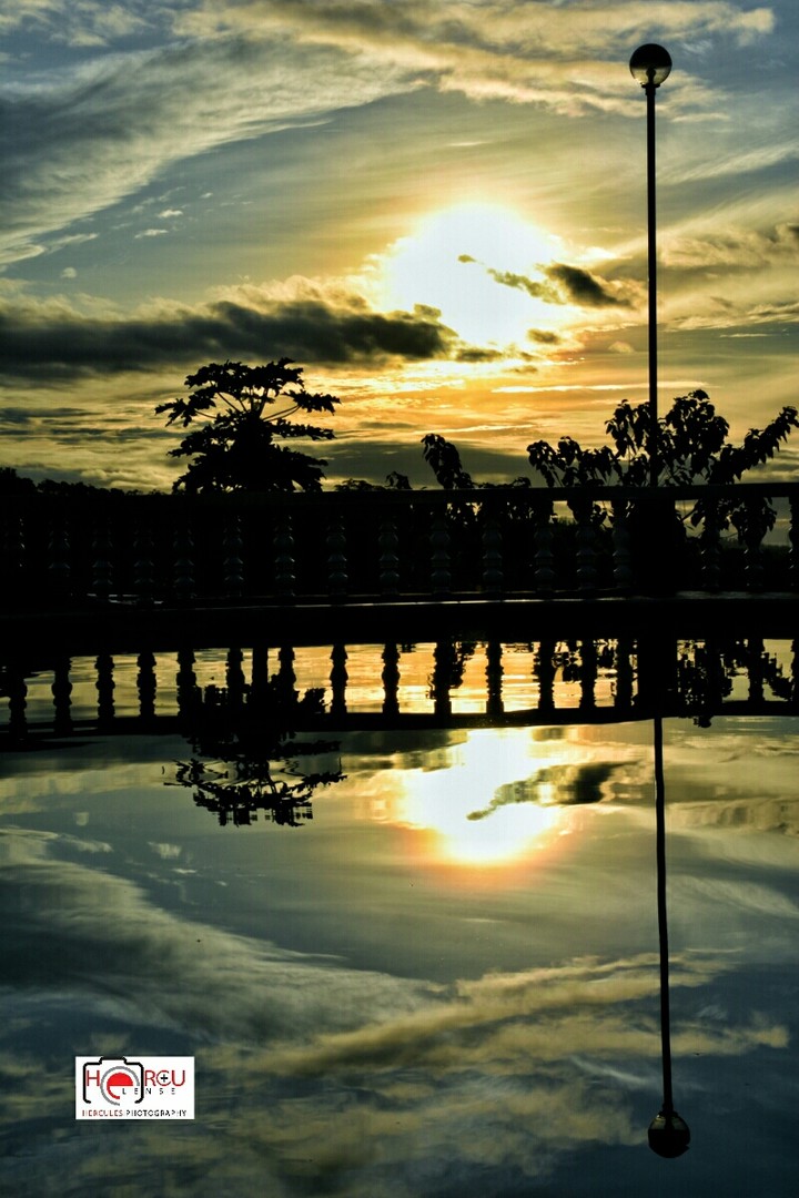 reflection