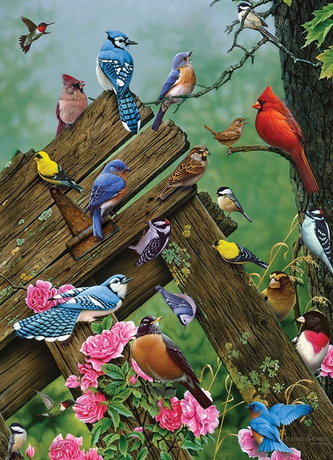 Bird world